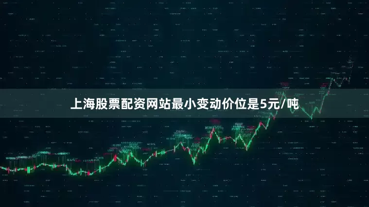 上海股票配资网站最小变动价位是5元/吨
